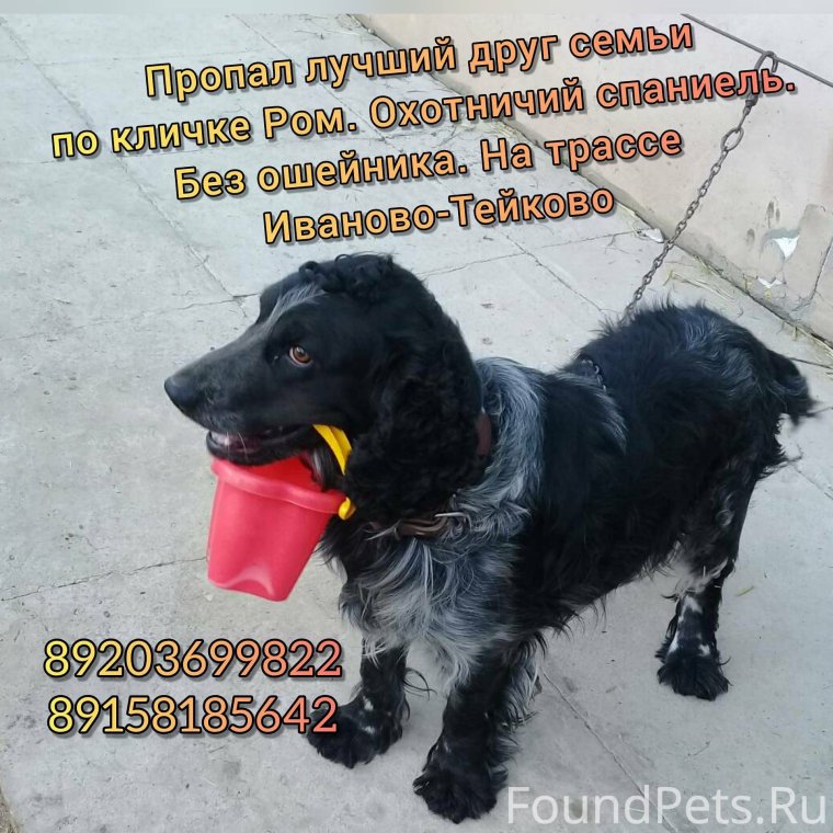 Смешные стоп кадры из ДМО