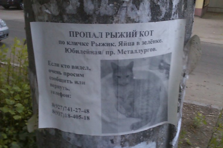 Смешные объявления о пропаже