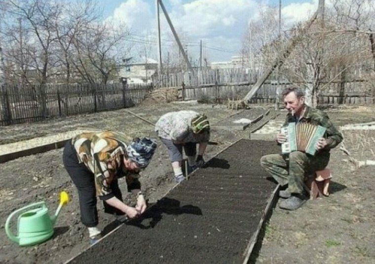 Приколы про огород