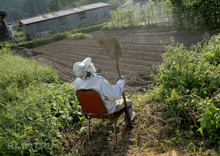 Деревня пугол Япония