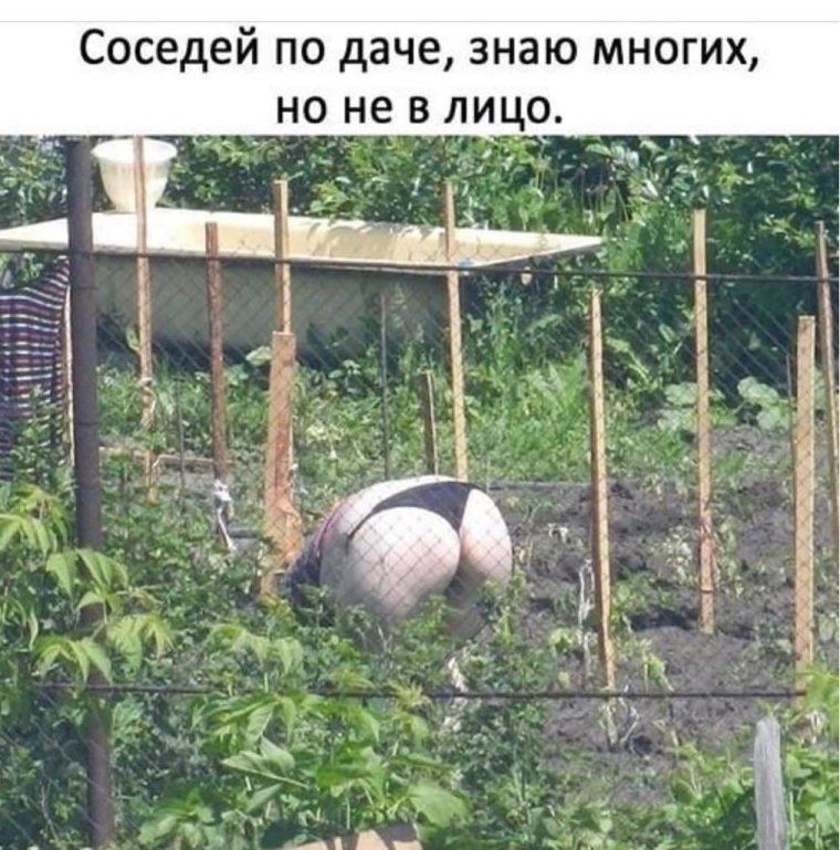 Соседка на даче
