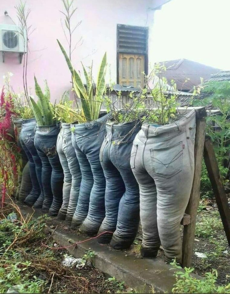 Смешное про огород