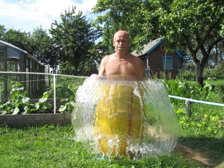 Смешное про дачу