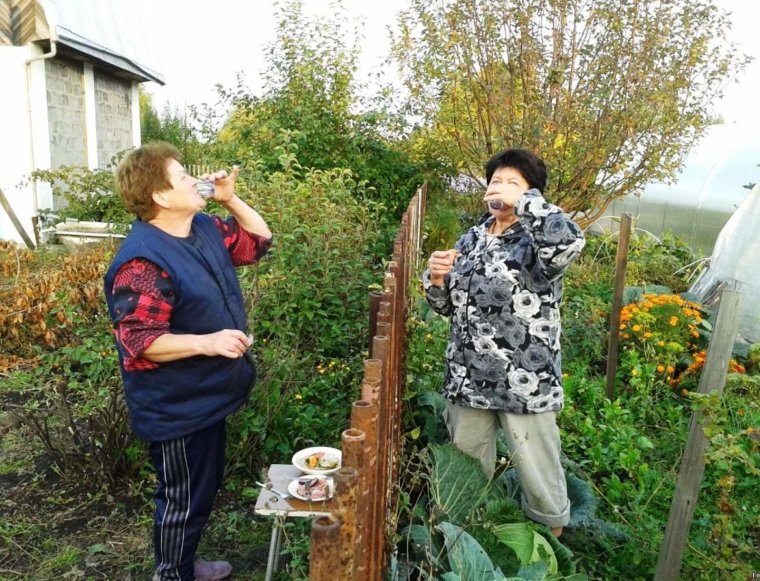 Приколы про огород