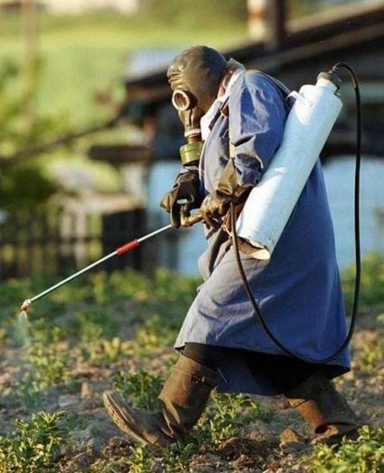 Приколы про огород