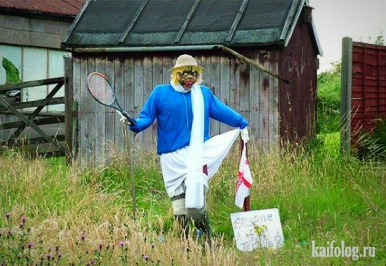 Приколы на садовых участках