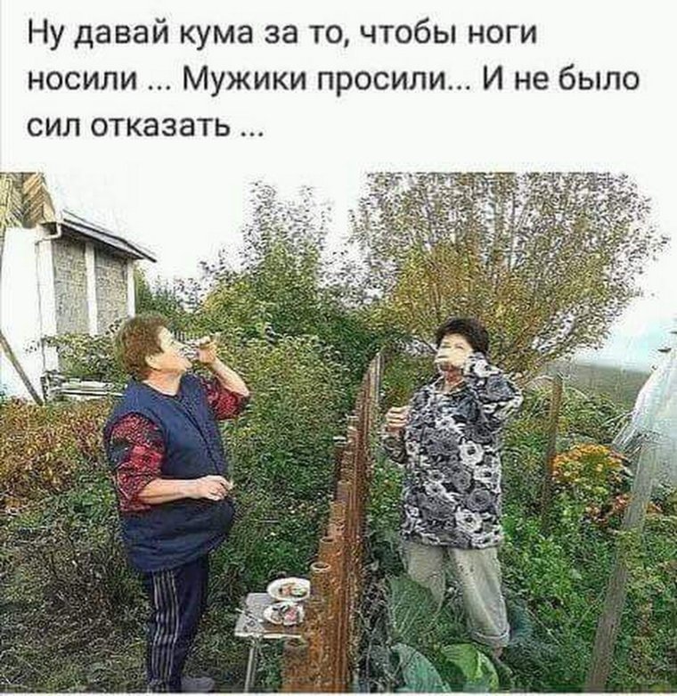 Соседи по даче