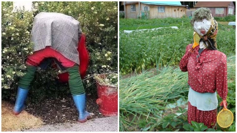 Смешные чучела на огороде