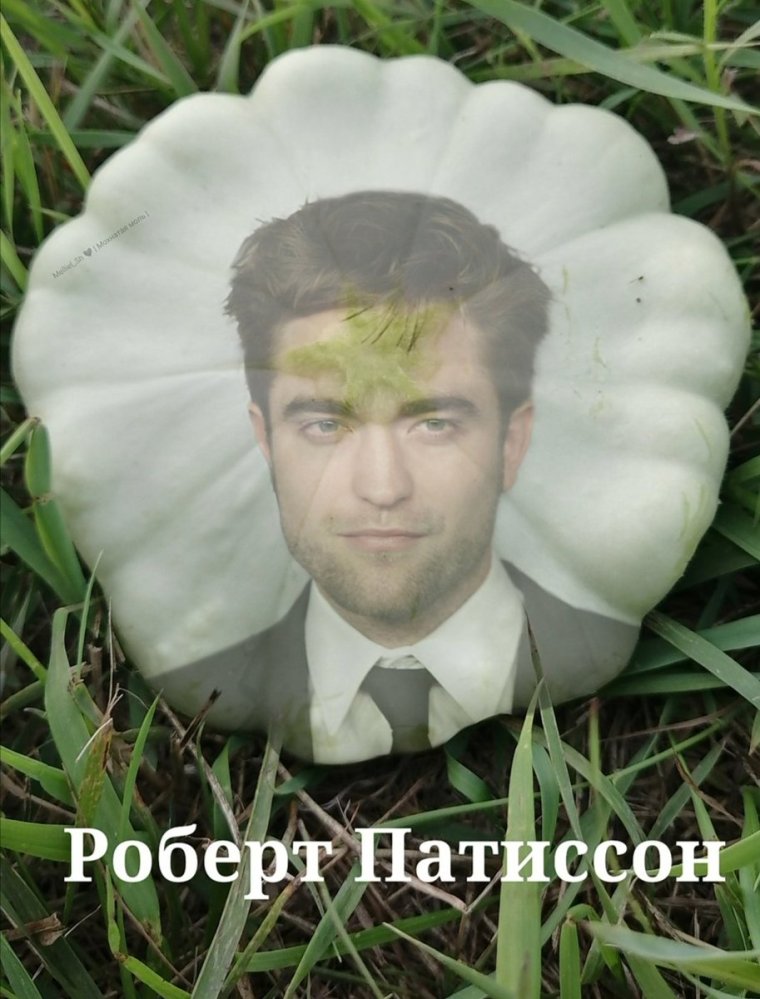 Овощ патиссон и Роберт Паттинсон