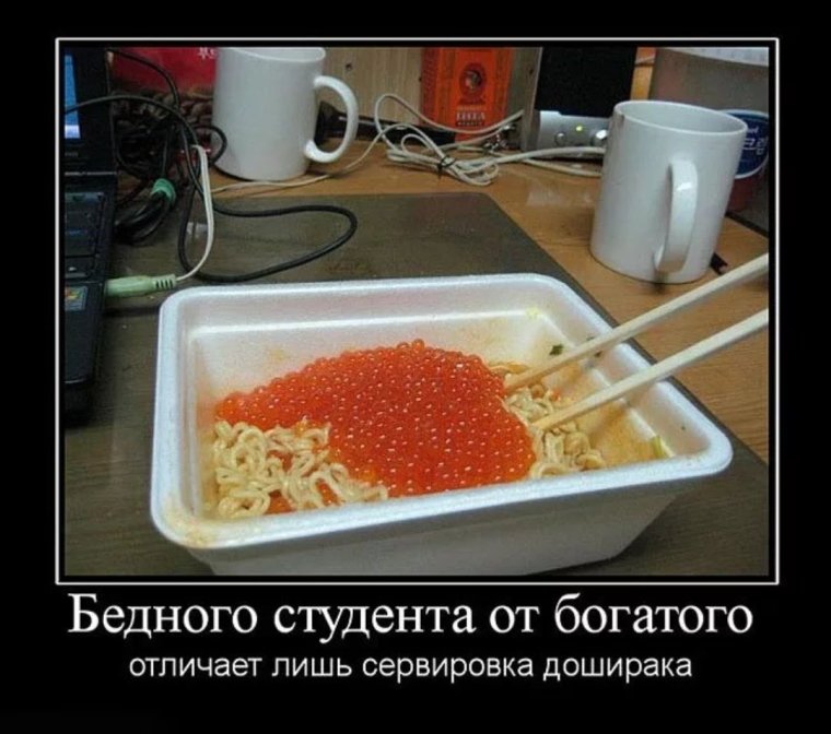 Доширак приколы