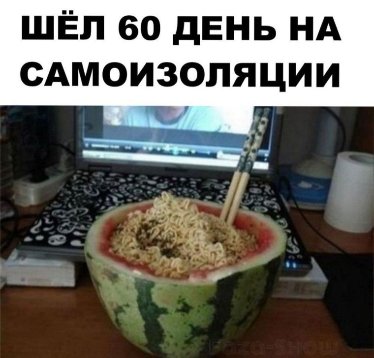 Приколы с дошираком