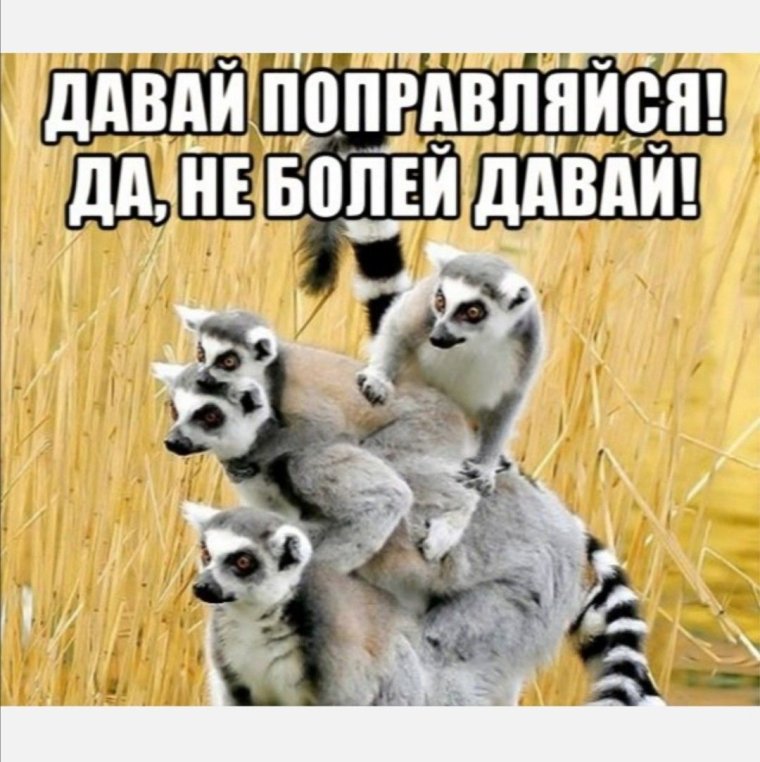 Выздоравливай прикольные