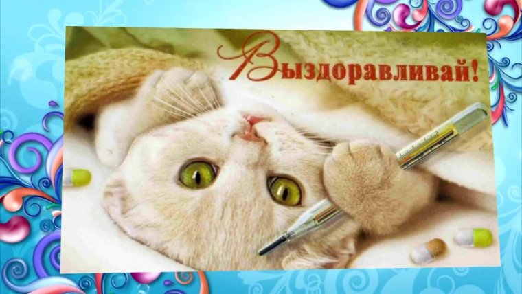 Выздоравливай картинки