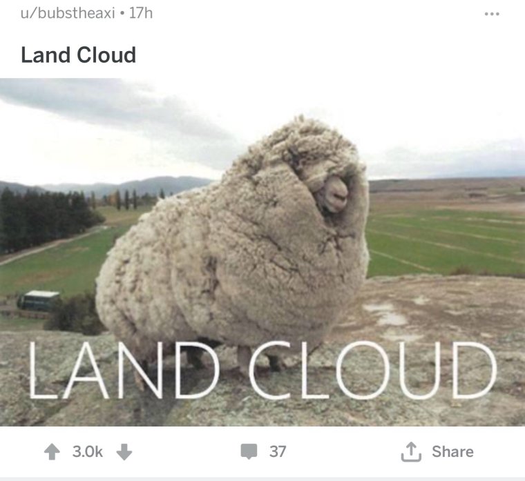 Барашек Шрек