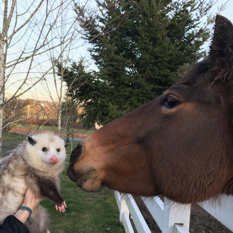 Приколы про родных