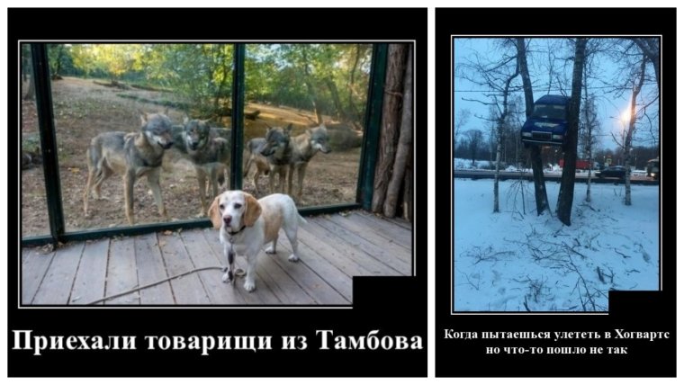 Приколы про родственников