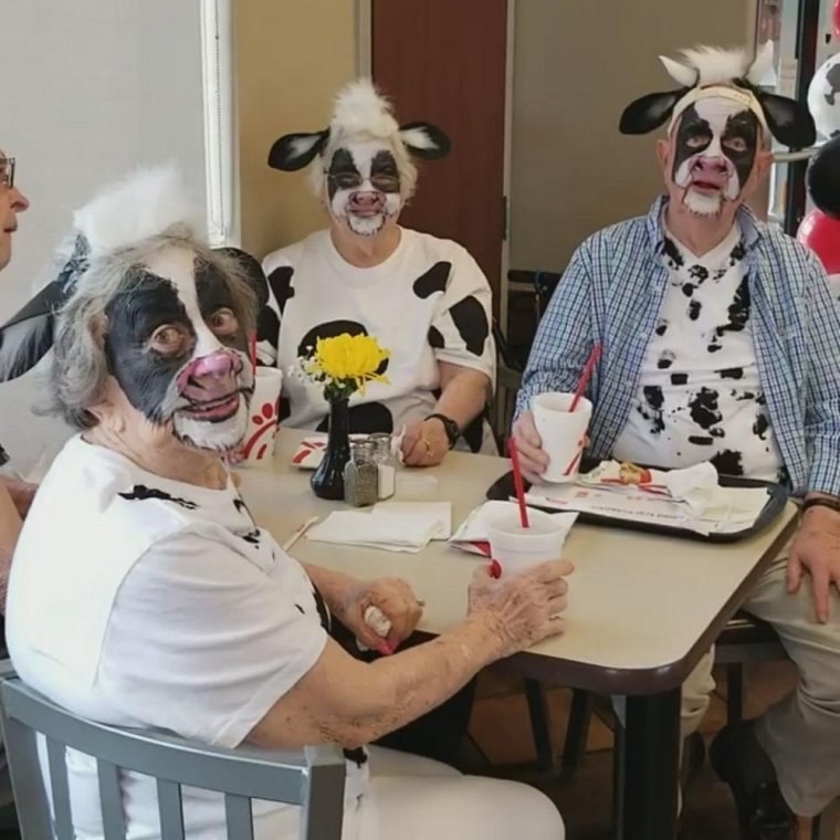 Смех да и только прикольные