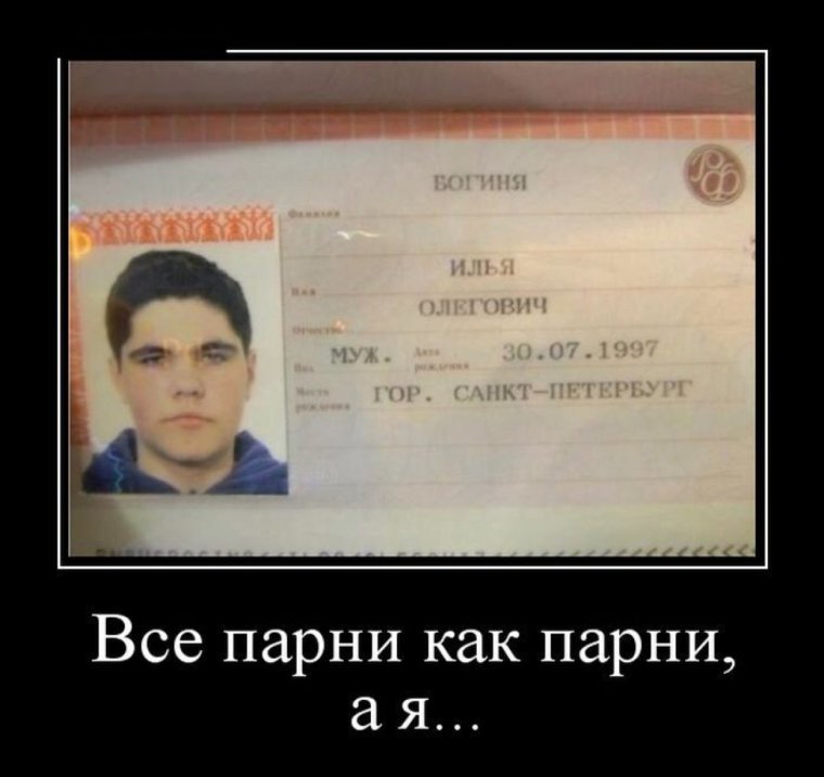 Шутки про фамилии