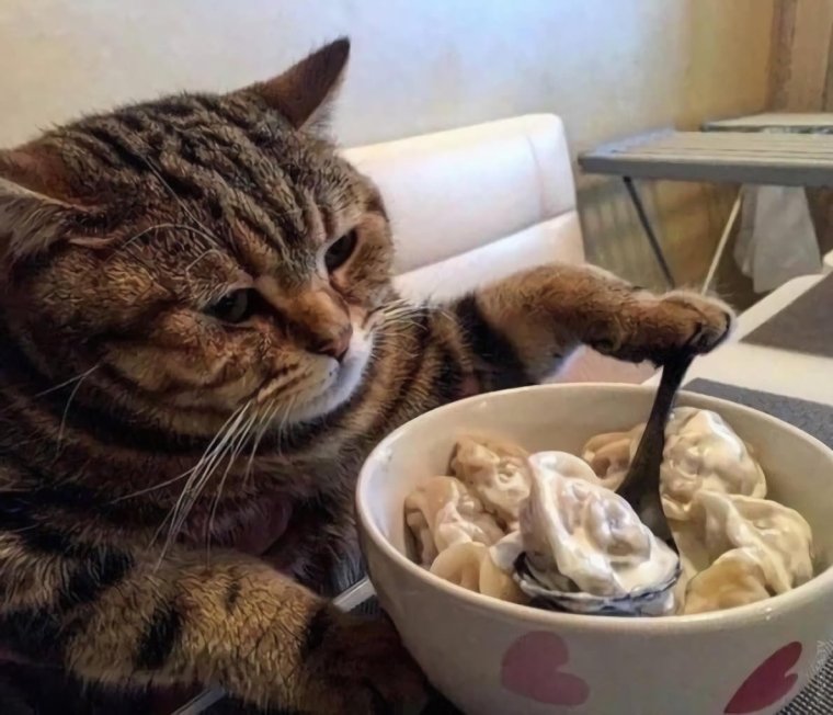 Кот пельмень