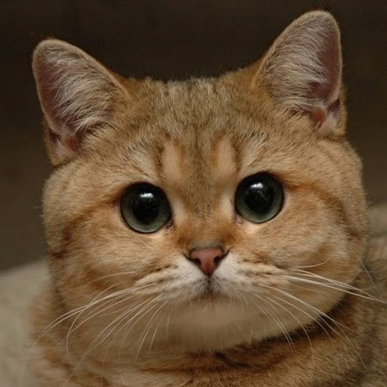 Надписи на стенах в подъезде