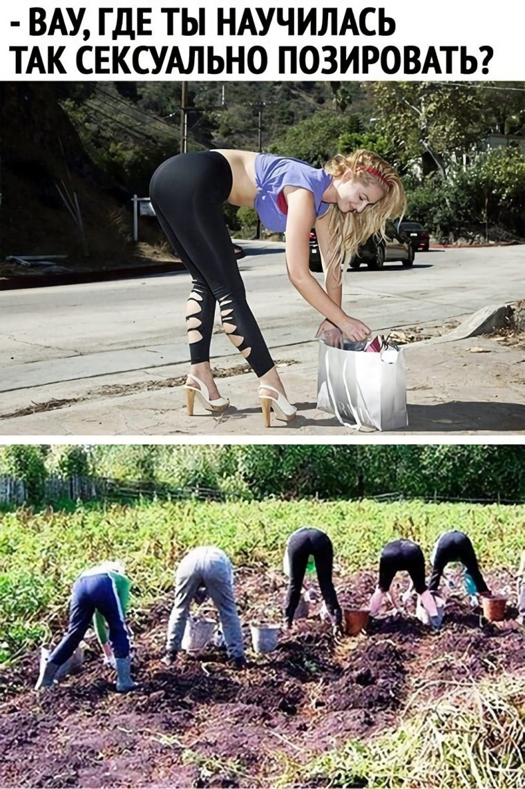 Юмор для женщин для поднятия настроения