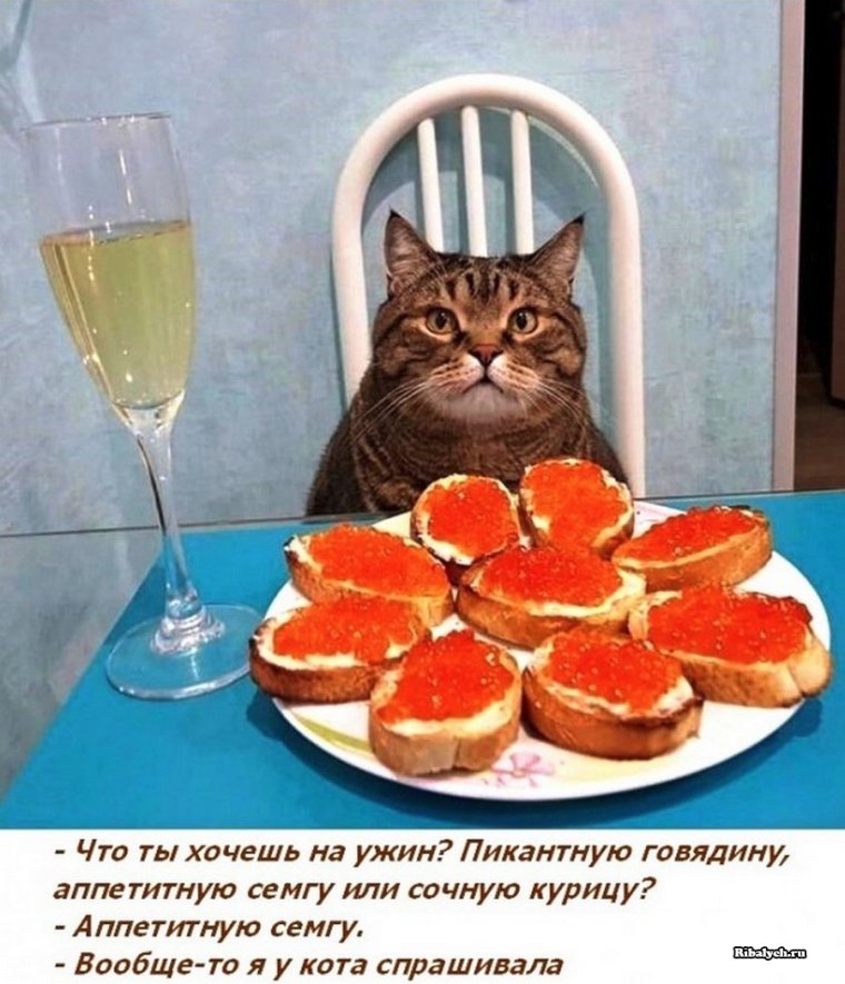 Смешные надписи для поднятия настроения