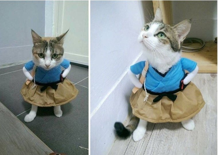 Смешная картинка для поднятия настроения