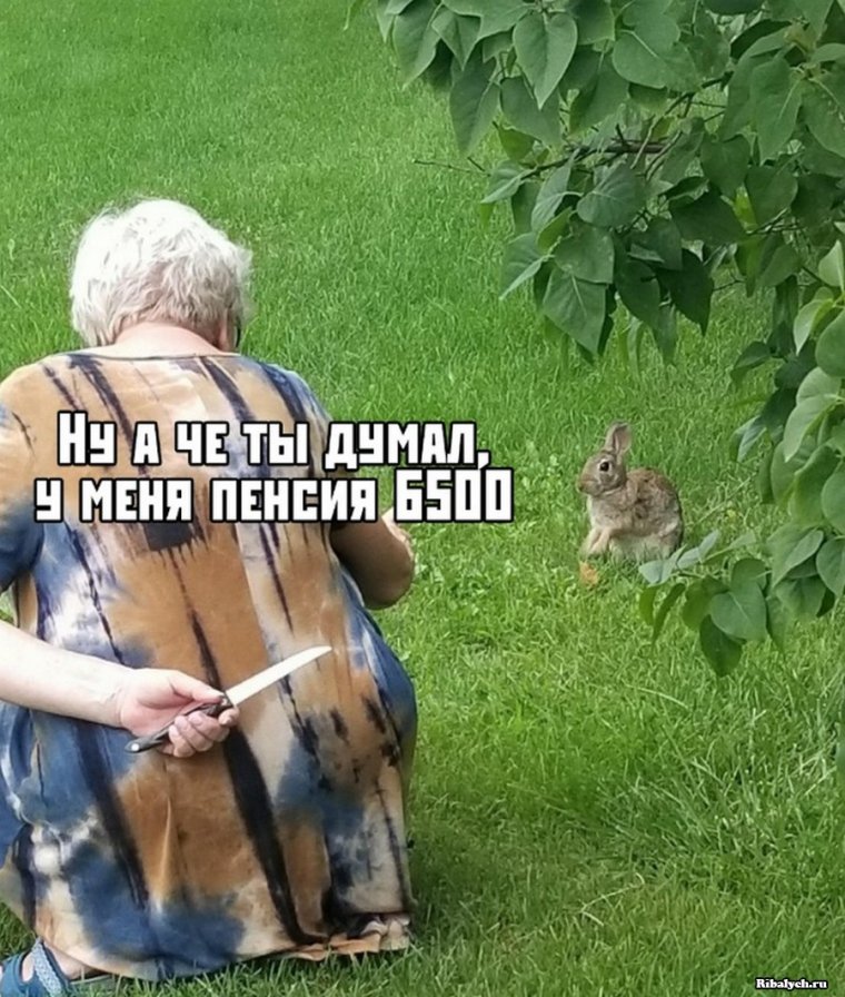 Юмор для поднятия настроения