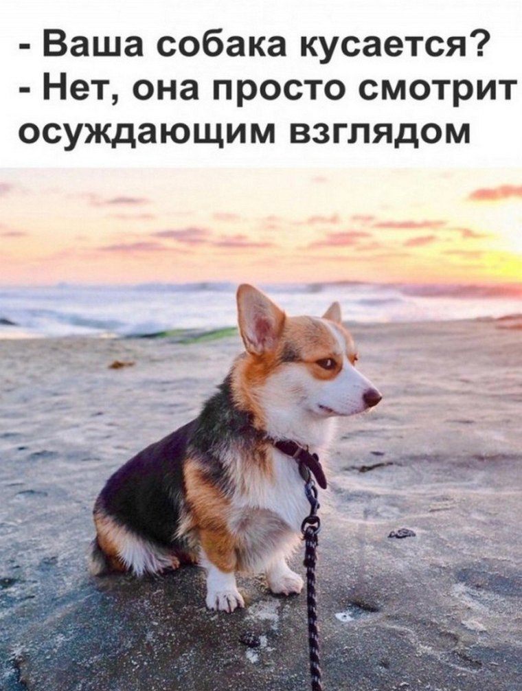 Позитивные надписи для поднятия настроения