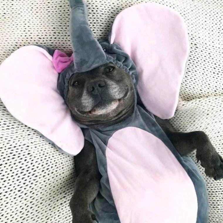 Смешные картинки