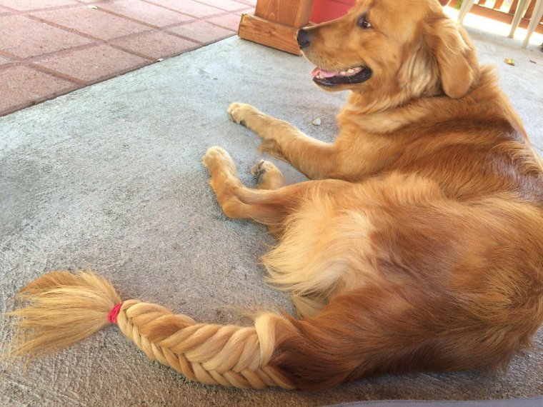 Смешные надписи для поднятия настроения