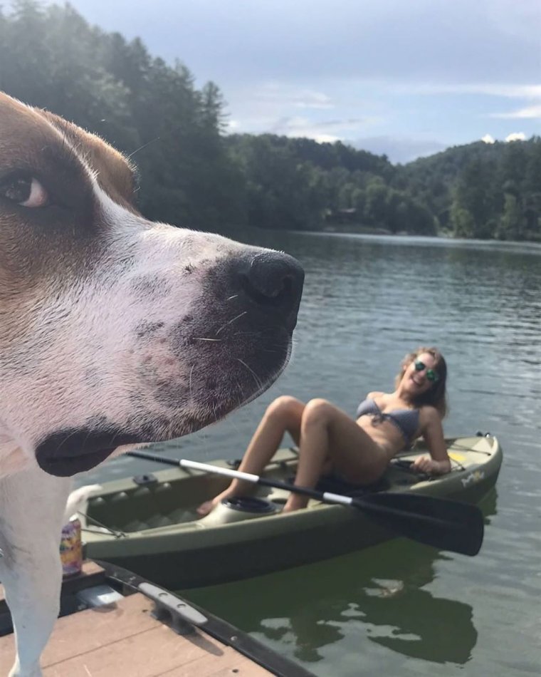 Смешные картинки