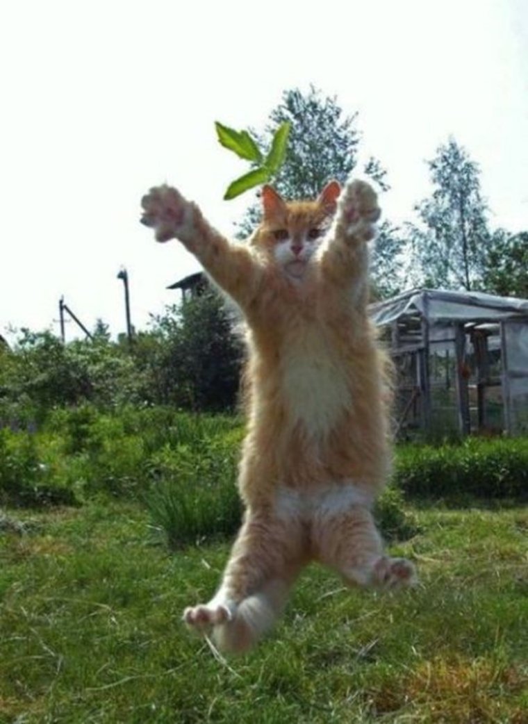 Позитивчик для поднятия настроения