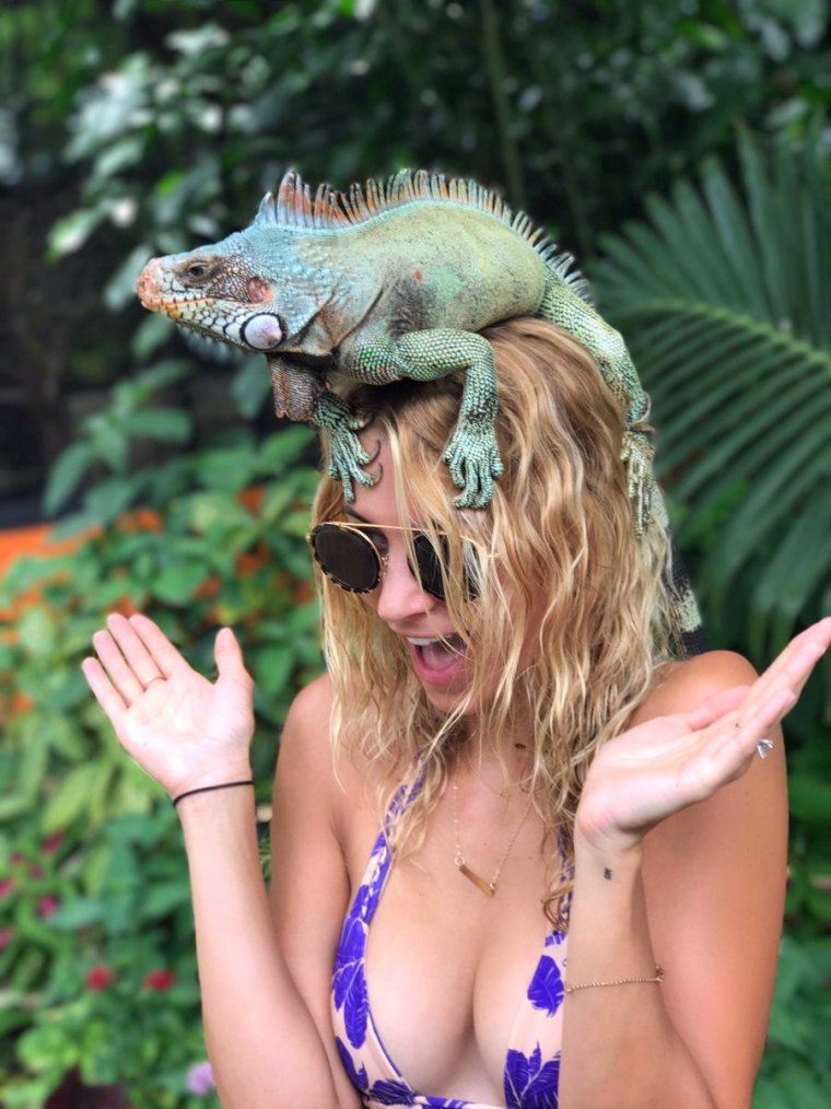 Фотографии для поднятия настроения девушке