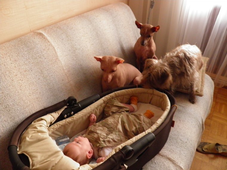 Юмор фото для настроения с надписями