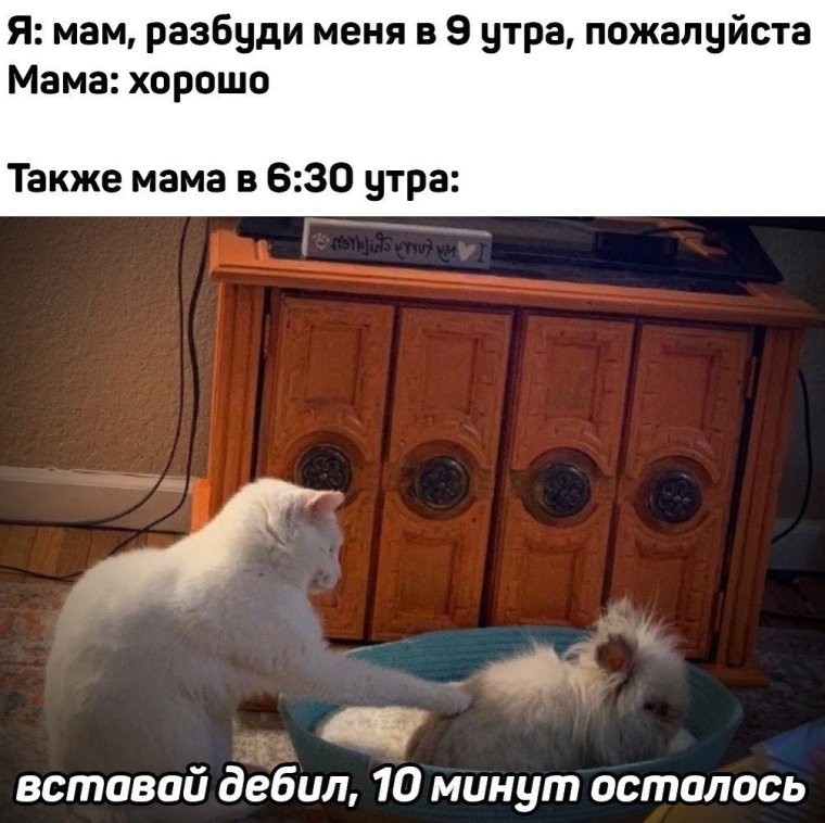 Картинки которые поднимают настроение с надписями