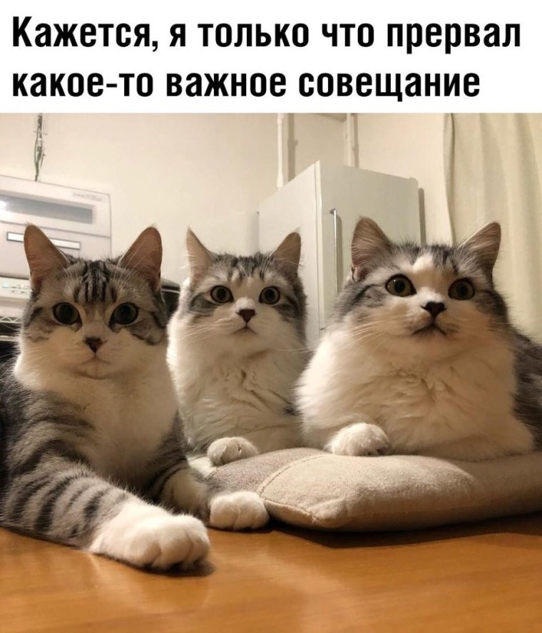 Картинки для поднятия настроения