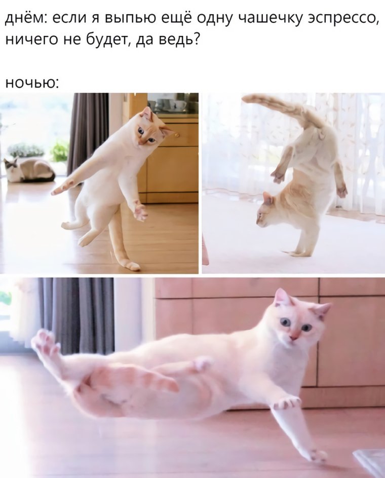 Весёлые мемы для поднятия настроения с надписями