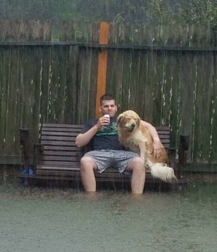 Друзья не разлей вода