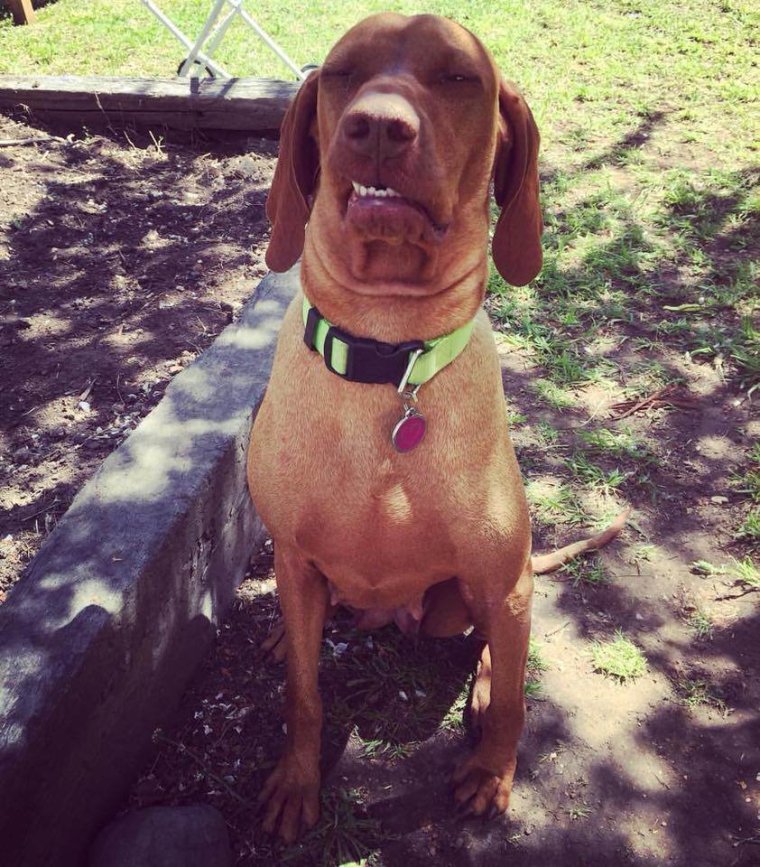 Веселые картинки поднимающие настроение