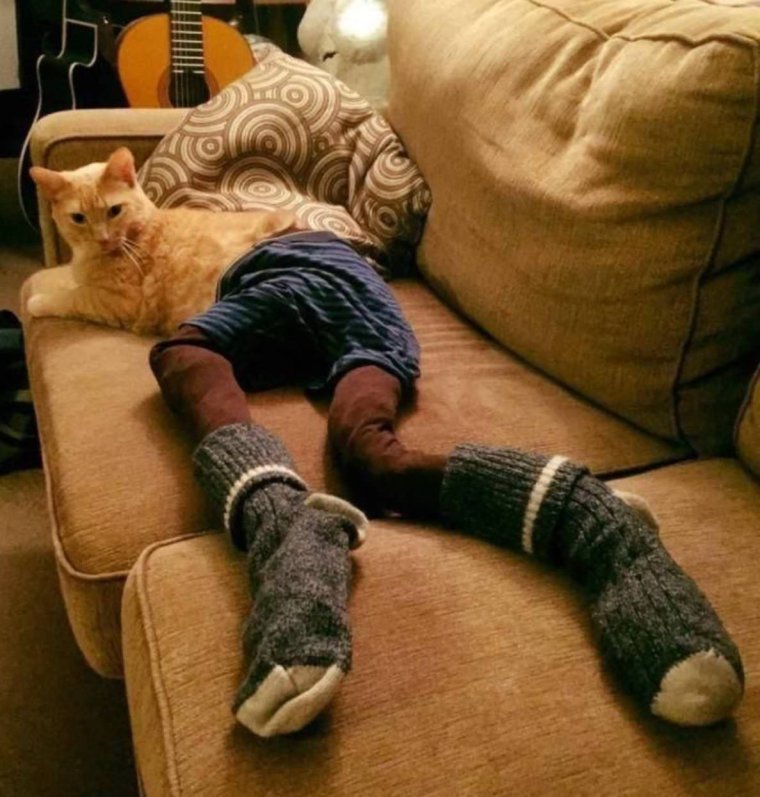 Фотографии для поднятия настроения