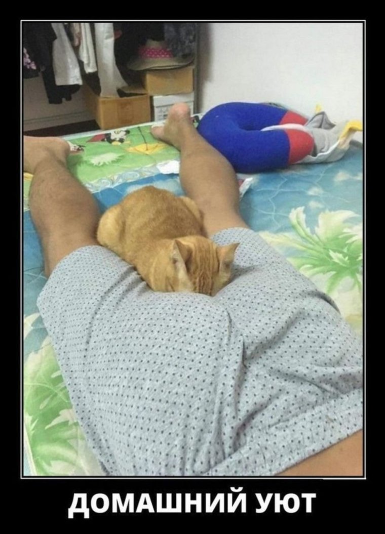 Уют демотиватор