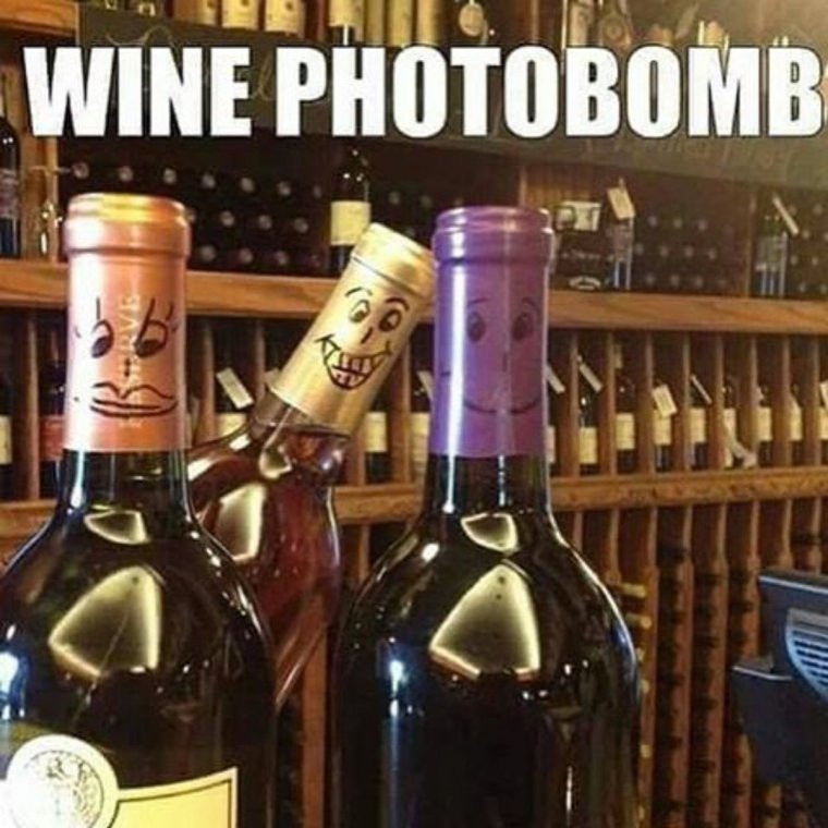 Приколы про вино