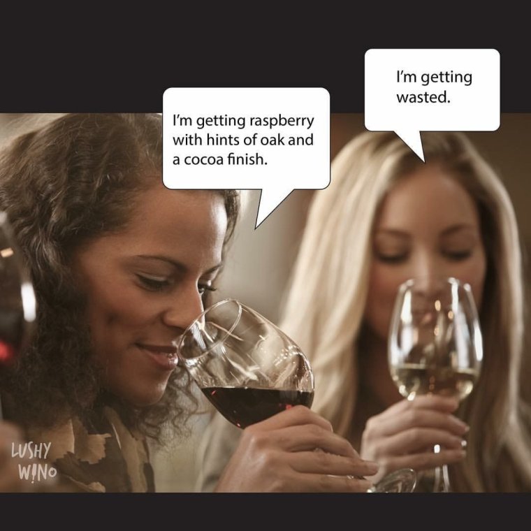 Приколы про вино для девушек
