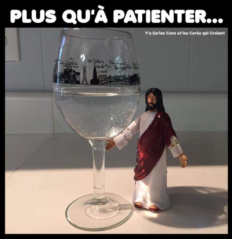 Смешные мемы про вино