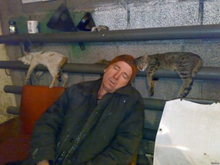 Пин ап сварщица