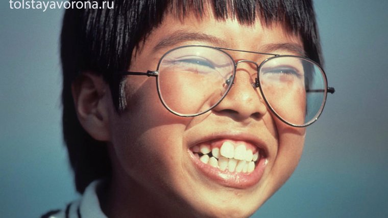 Животное в очках