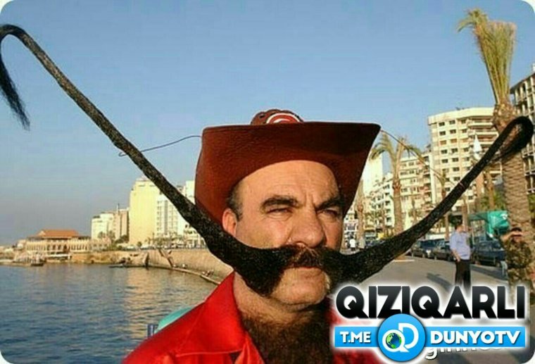 Огромные усы
