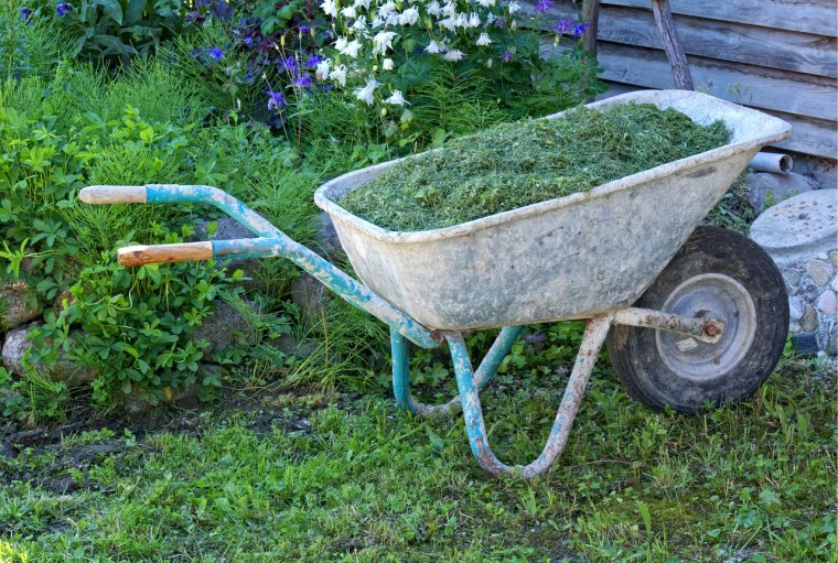 Тачка с навозом