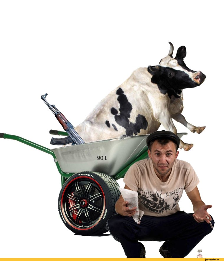 Корова в тачке на тачке